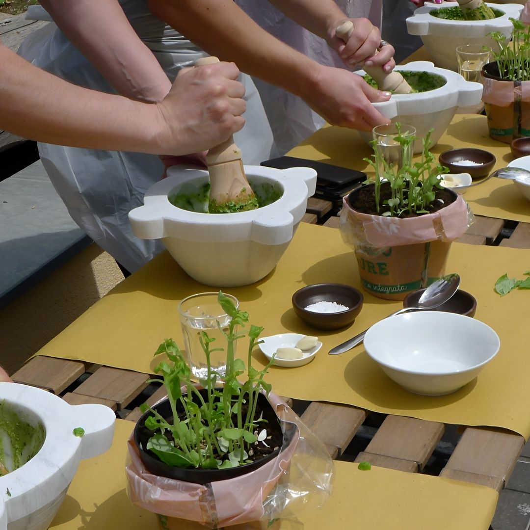 Workshop Pesto Making Sfeer Senior